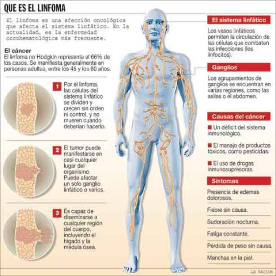 Publicado por noeli en 16:01 No hay comentarios: