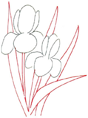 How to Draw an Iris in 5 Steps How to Draw an Iris in 5 Steps