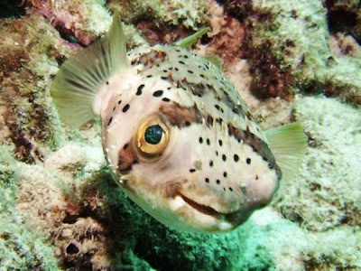 2014 438198201555440352.j