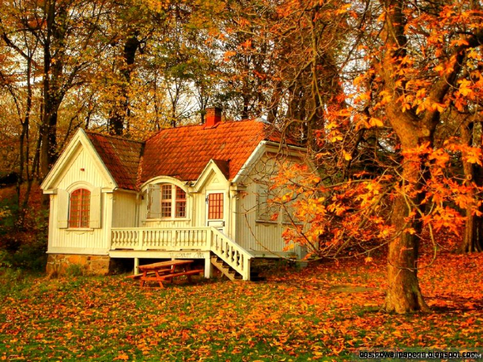 Beautiful Autumn Fall Beautiful Autumn Fall