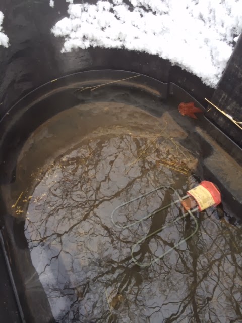 heated water tank winter Kansas heated water tank winter Kansas