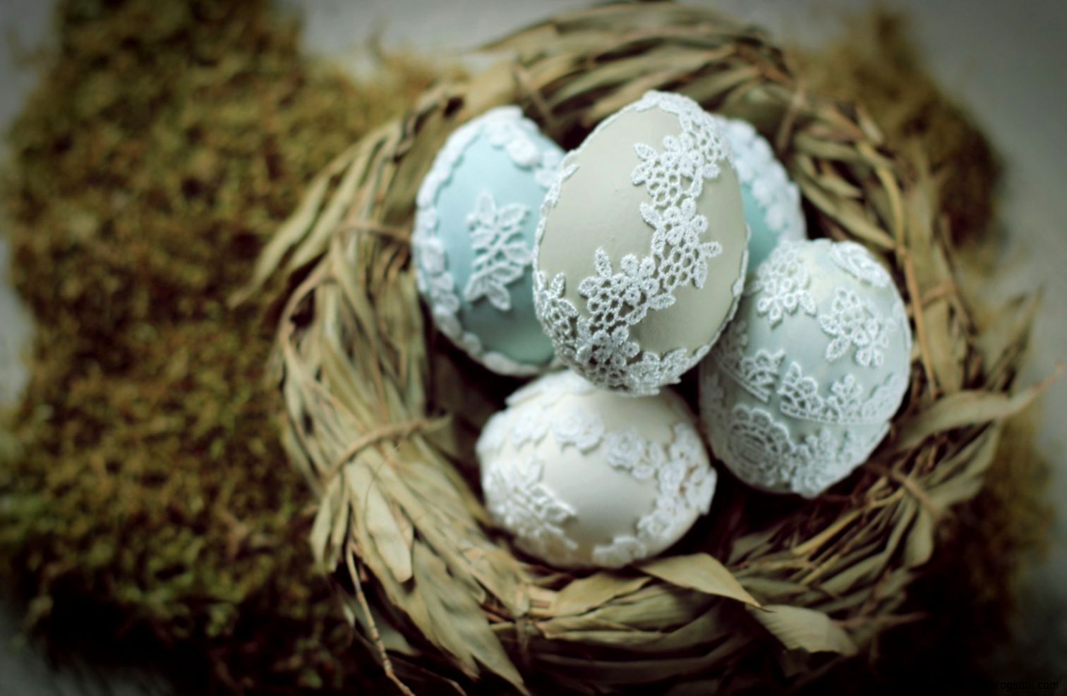 Eggs Flowers Spring Easter 6964357 Eggs Flowers Spring Easter 6964357
