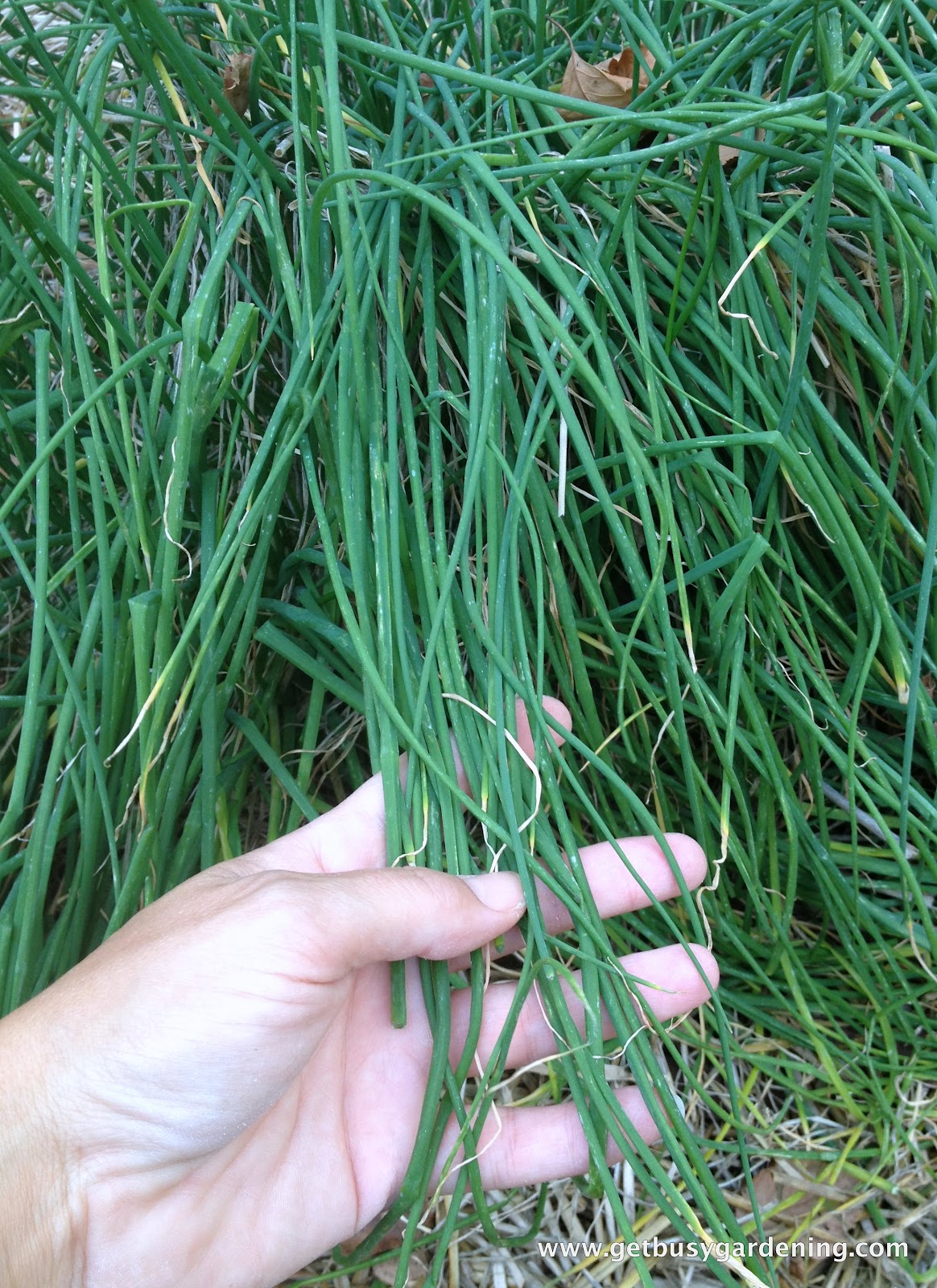 301 Moved Permanently