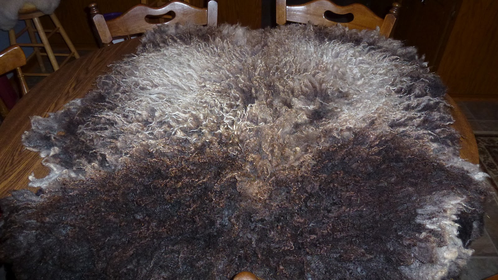 Becky Utecht Felt & Fiber Raw Felted Fleeces