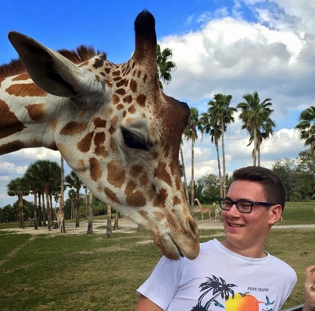Valentin likes giraffes !