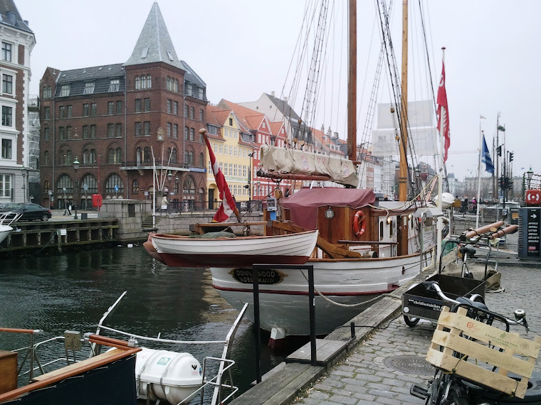 Copenhagen January 2011