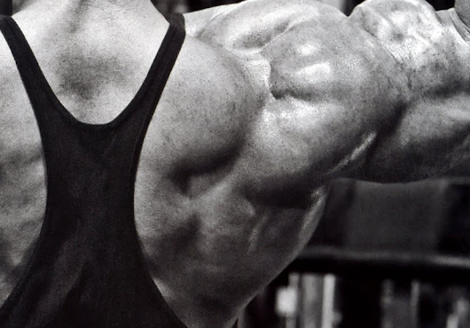 More Evidence That Myostatin is an Important Inhibitor of Diet and Exercise Induced Muscle Gains in You & Me