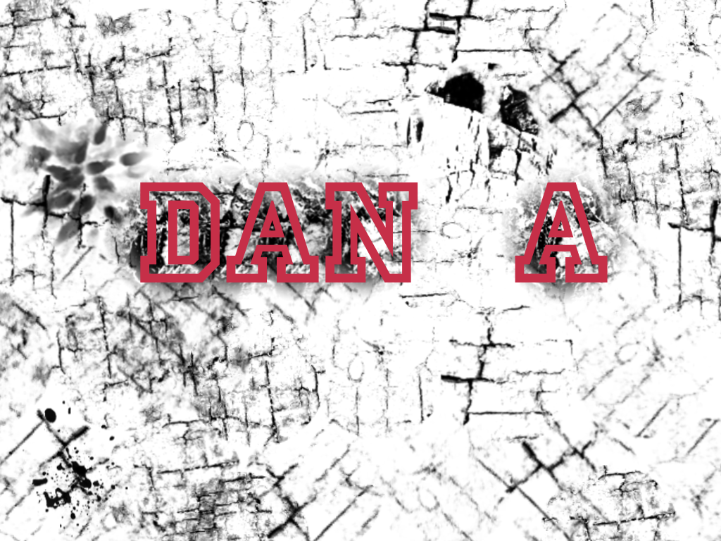 DJ Dan A