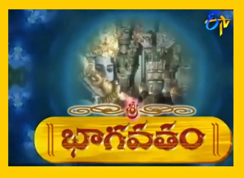 Bhagavatam Telugu Serial Cast