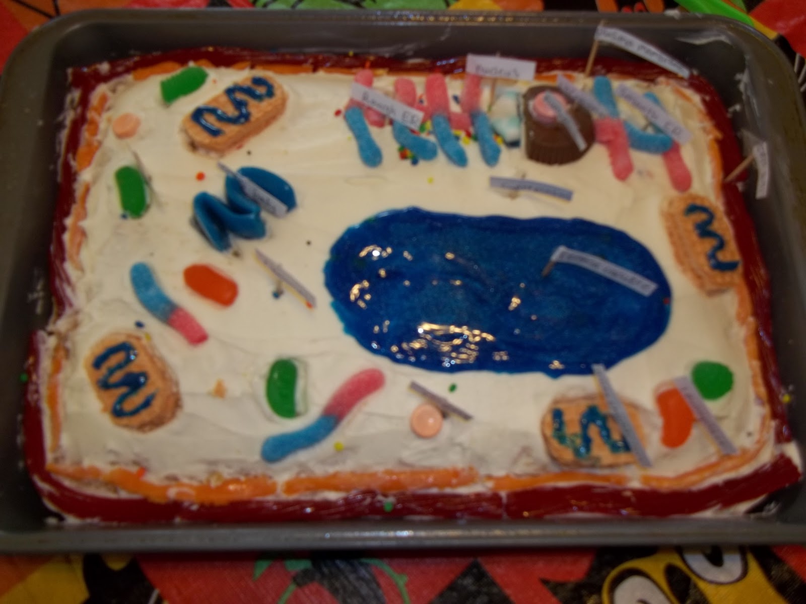 Edible Cell Diagram