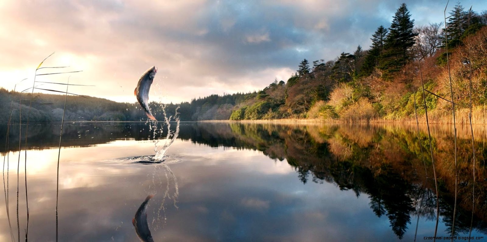 Fishing Lake HD Wallpapers Fishing Lake HD Wallpapers