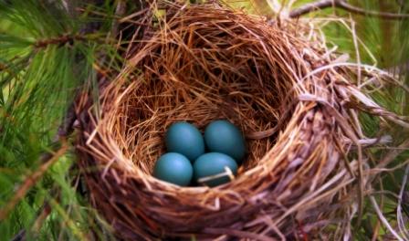 The Christensen's Camelot