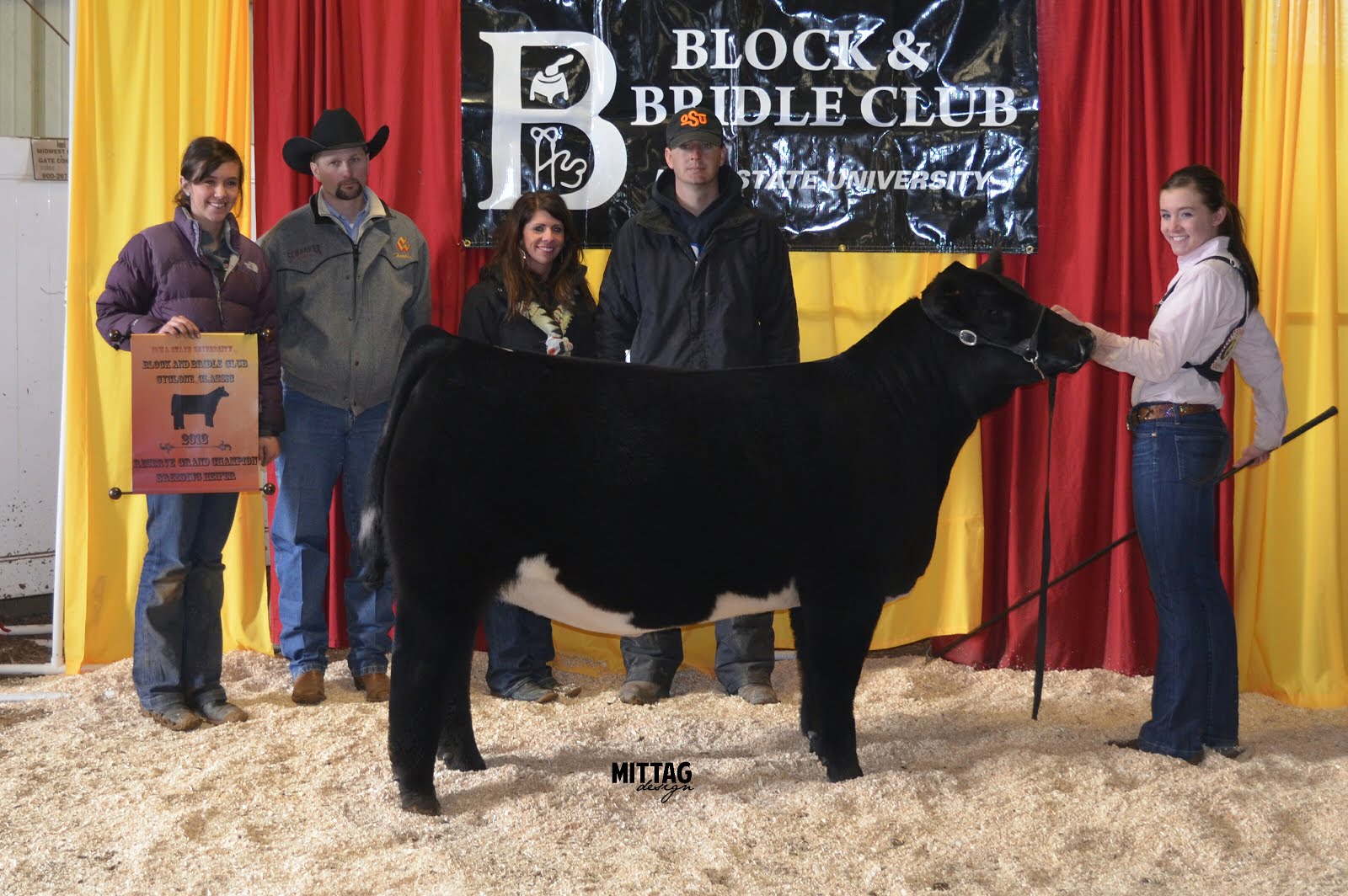 MITTAG Blog ISU Block and Bridle TOP 5 BREEDING HEIFERS