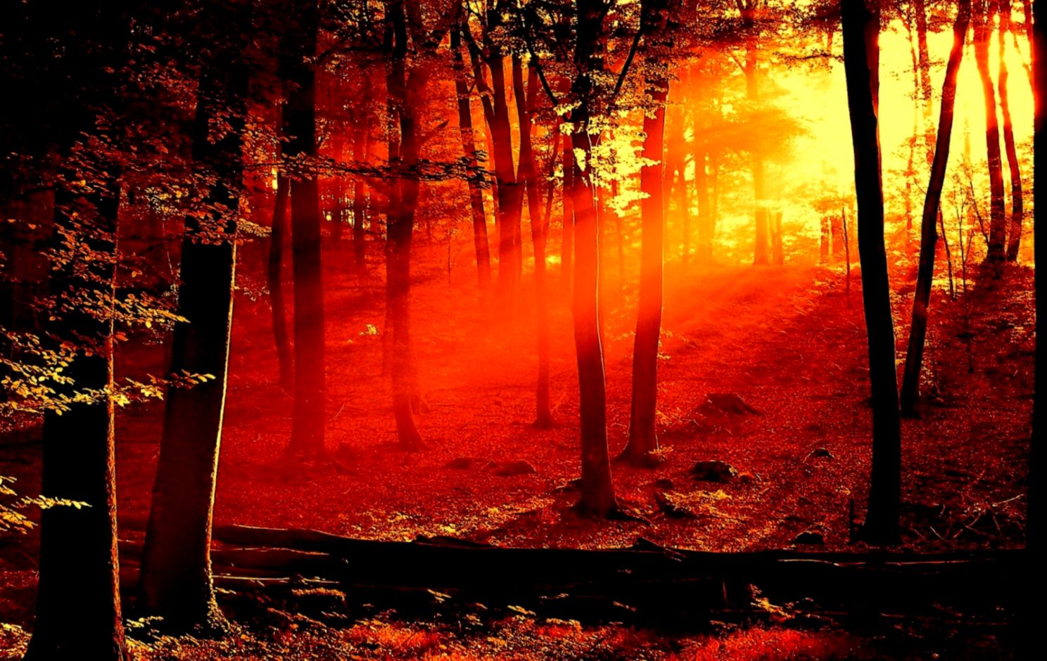 UNeedAllinside Widscreen Wallpapers Widescreen hd wallpapers UNeedAllinside Widscreen Wallpapers Widescreen hd wallpapers