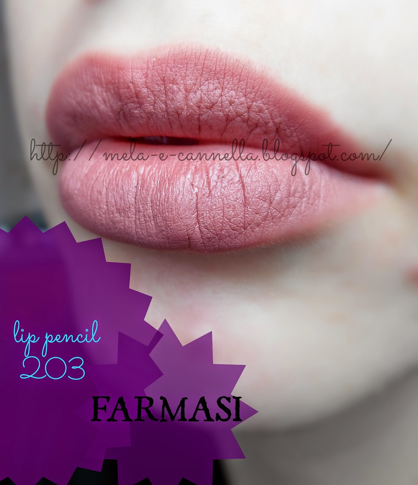 melaecannella Farmasi lip pencil 203
