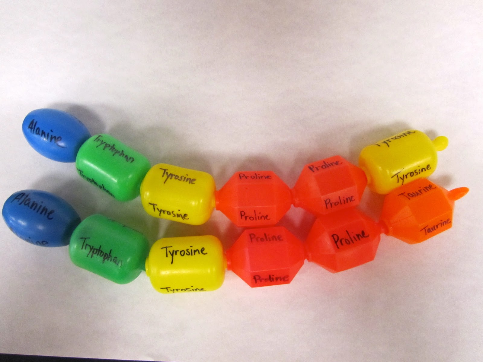 marker protein definition