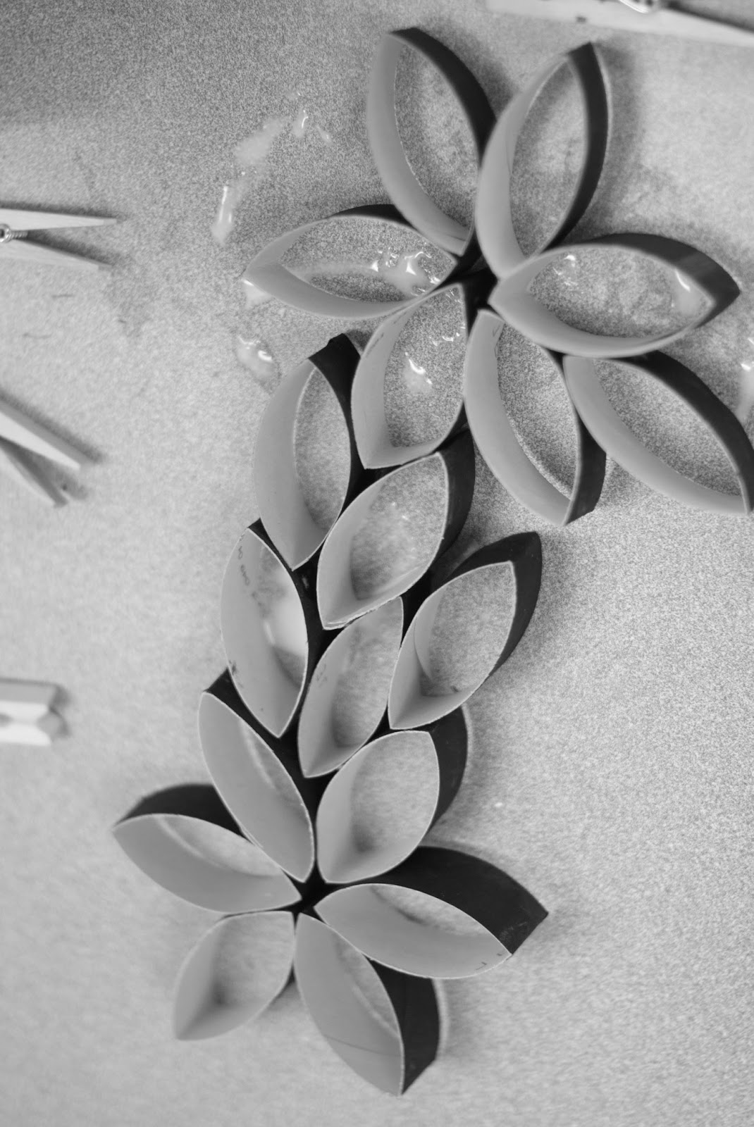 Ebeling Art Studio Fine Art Photography Wall Art Toilet Paper Tube