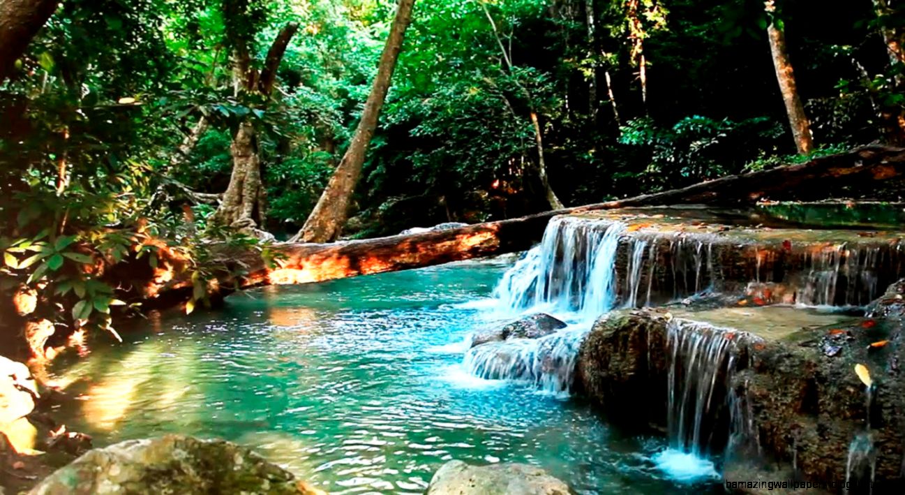 Rainforest Sounds Water Sound Nature Meditation YouTube Rainforest Sounds Water Sound Nature Meditation YouTube