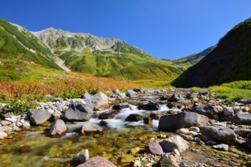 諺 "他山の石" が意味する教え?