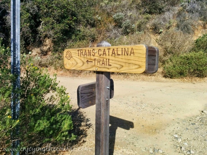 Catalina Island | Trans Catalina Trail