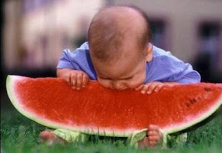 A child attempts to eat a piece of watermelon bigger than himself!