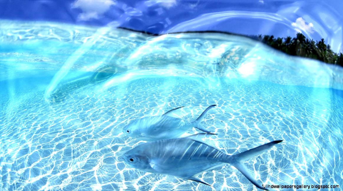 live wallpaper2 live wallpaper2