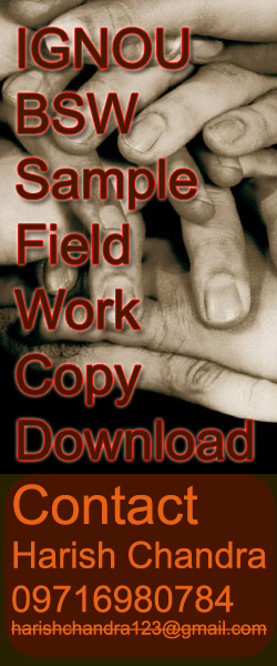 IGNOU BSW Field Work Journal