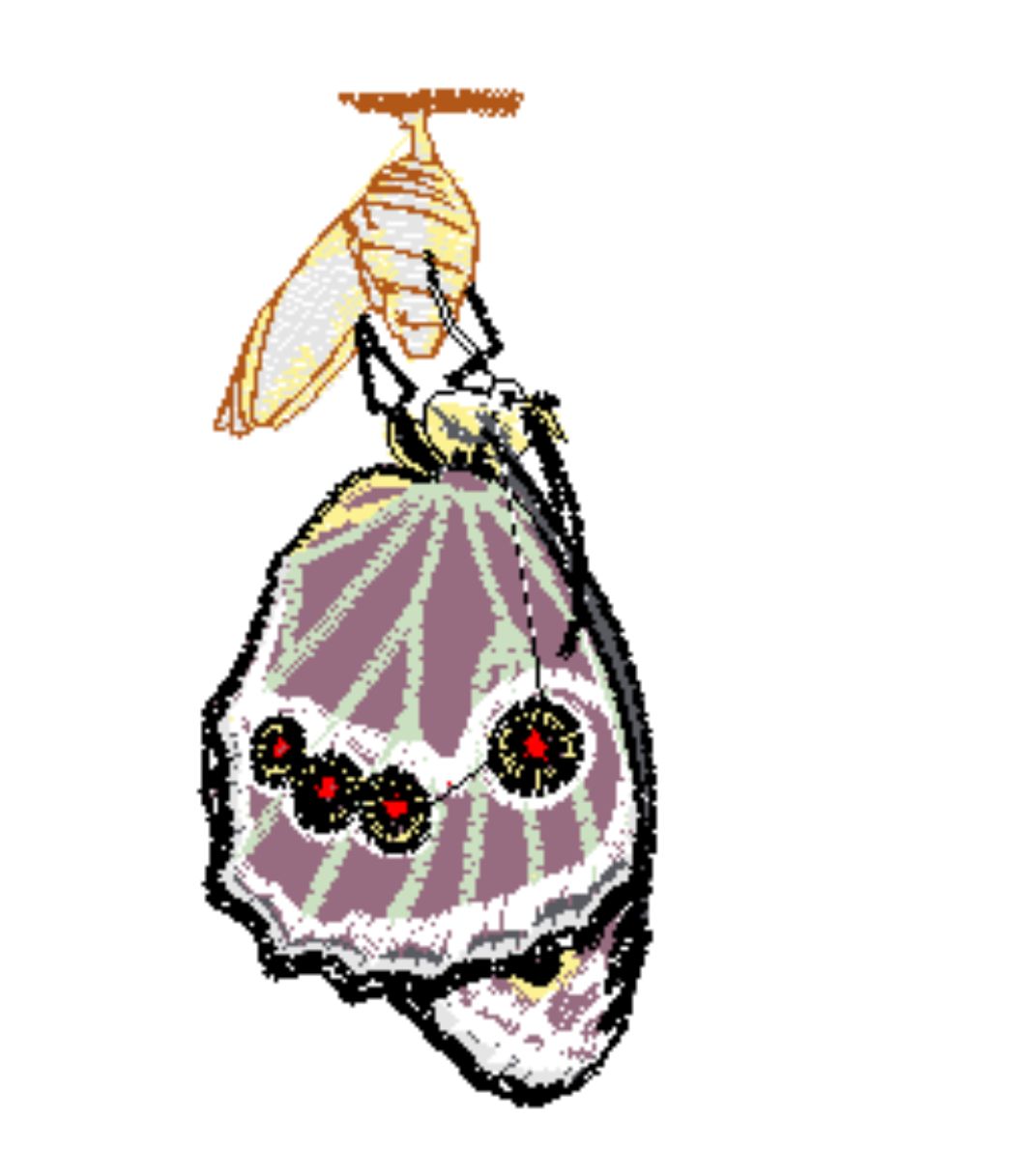 Sewing and Embroidery. Learn and share... A collection of "butterfly