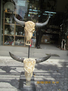 CURIO & HANDICRAFT SHOP :- Cattle skulls as souveneir in Kuta.