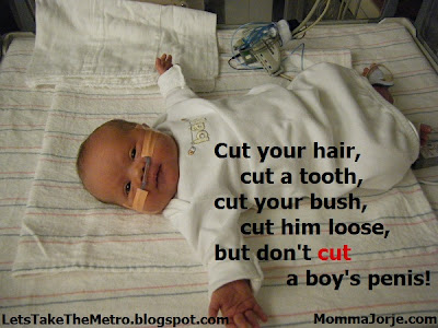 Cut your hair, cut a tooth, cut your bush, cut him loose, but don't cut a boy's penis!