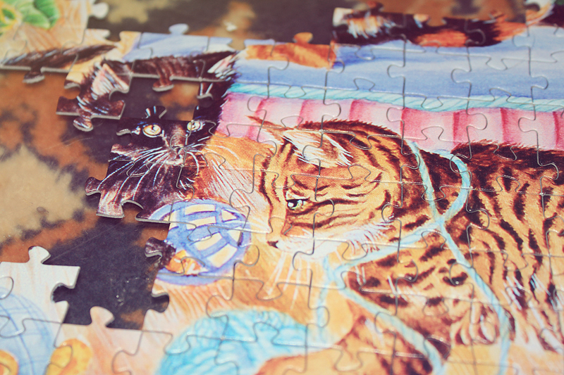 LIVE 2014, Puzzle, Hobby