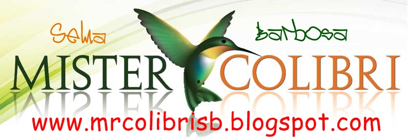 Mister Colibri Brasil