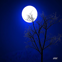 http://3.bp.blogspot.com/-5YkvvOc0KoU/TdwTIpqghfI/AAAAAAAABxA/eOnpfYcNVrI/s200/moonlight_1.jpg