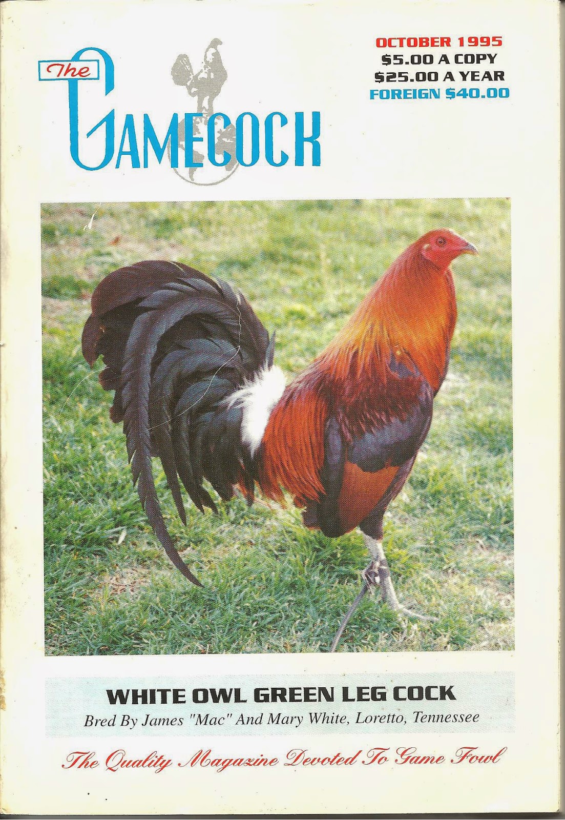 Cockfight History