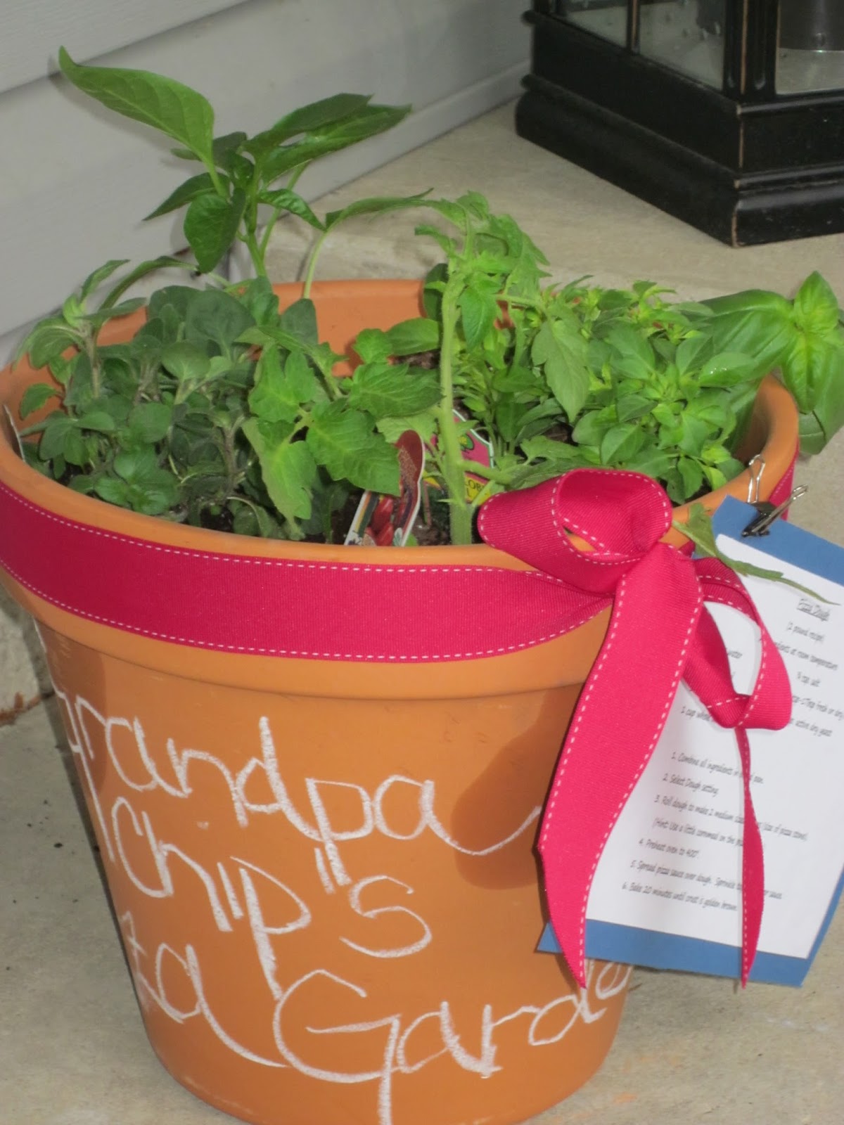 Robyn's Perfectly Ordinary Life Pizza Garden Pot