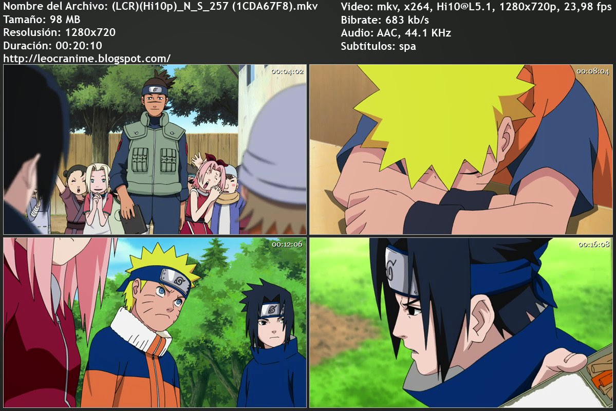 Naruto shippuden english dubbed episodes torrent download free