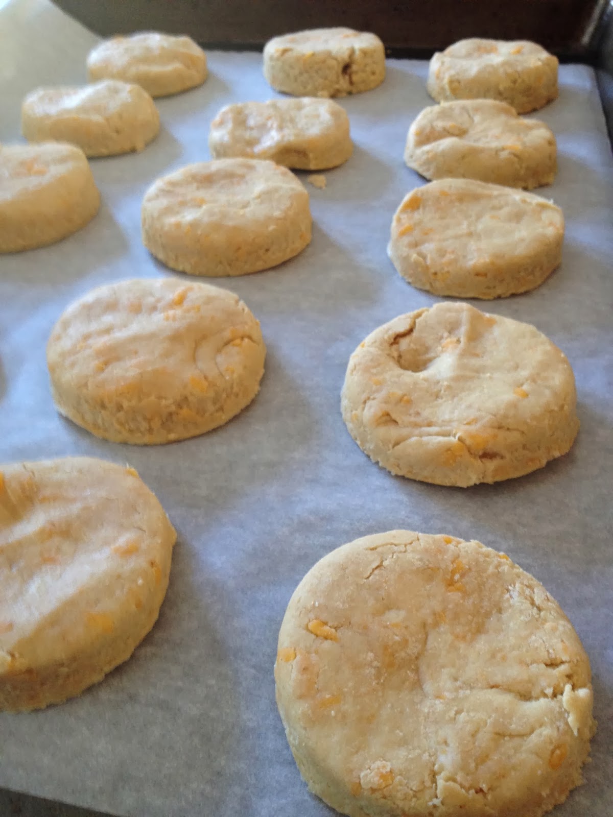 Sea Jay's Cupcakes WholeWheat Garlic Cheddar Biscuits