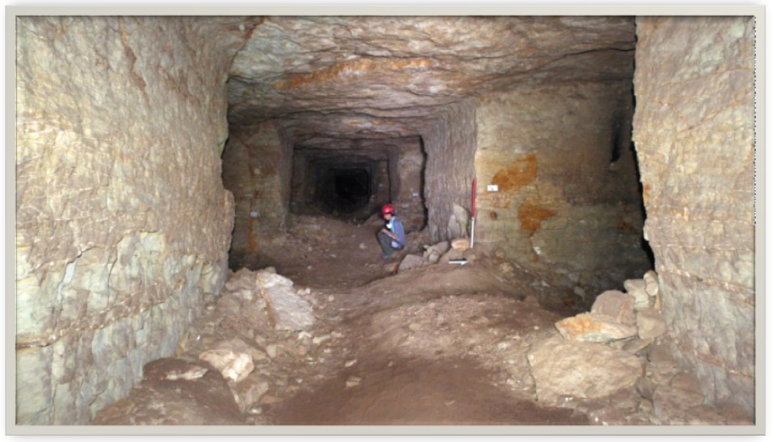 Egitalloyd Travel Egypt New Discovery, Sakkara 8 million mummified