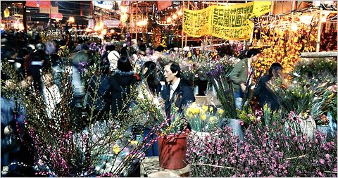 new year hong kong flower market new year a floral new year flower talk new year hong kong flower market new year a floral new year flower talk