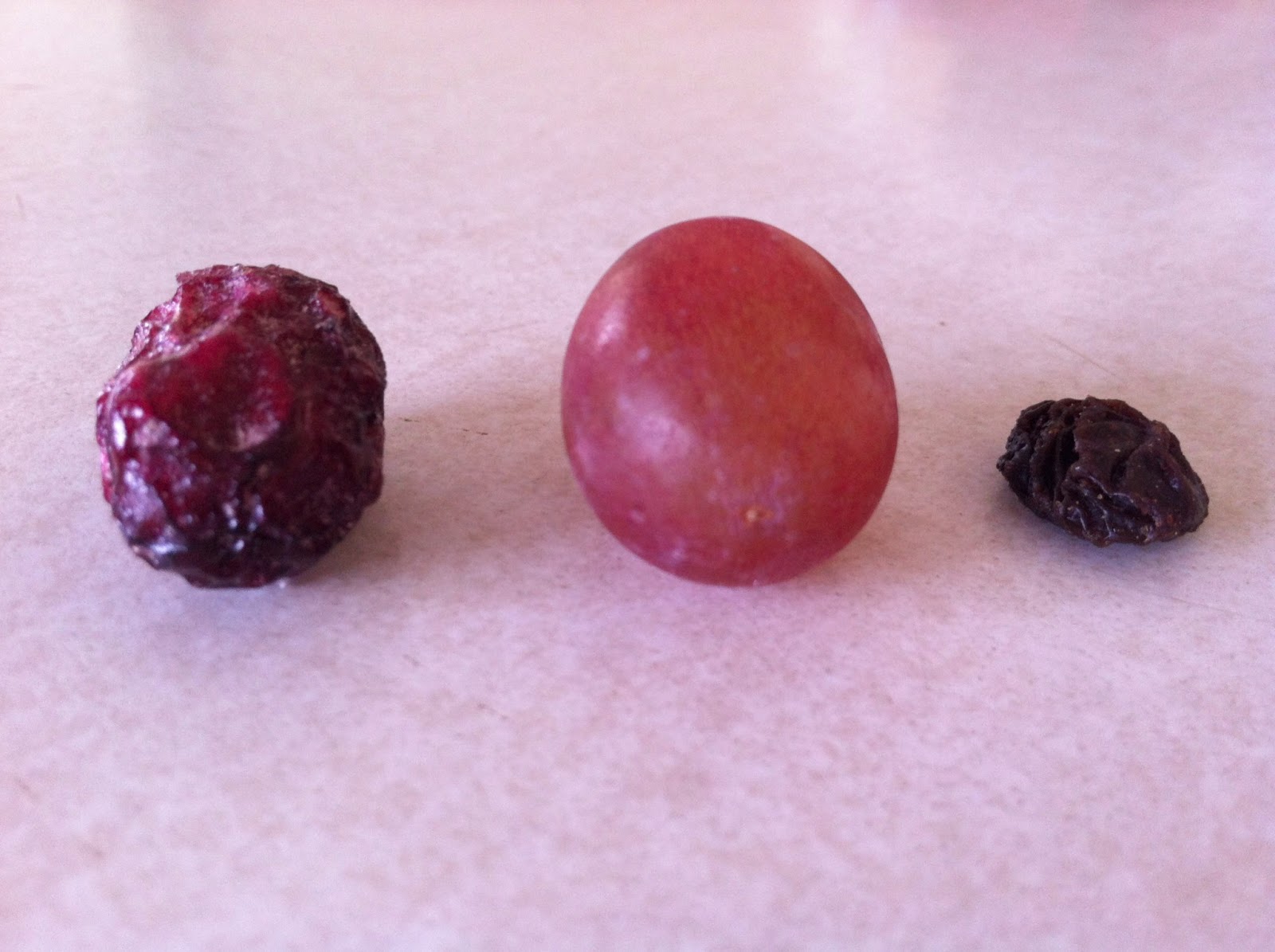 my family prepared Freeze Dried vs. Dehydrated Food