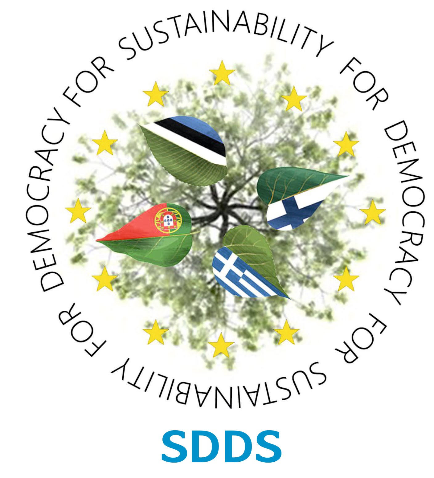 SDDS project logo