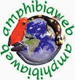 AMPHIBIAWEB