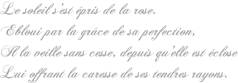 Petites citations diverses Po%C3%A8me+rose