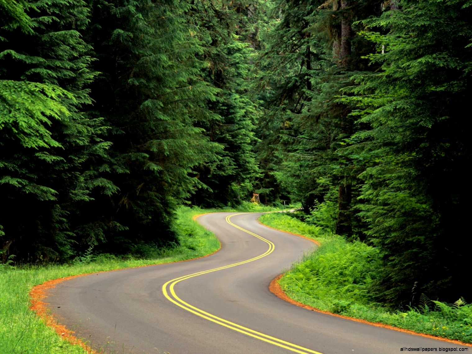 Nature Beautiful Winding Roads Nature Beautiful Winding Roads