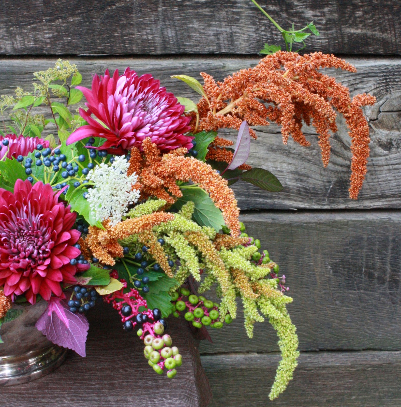 Scope for Imagination Could be my last flower post for awhile...