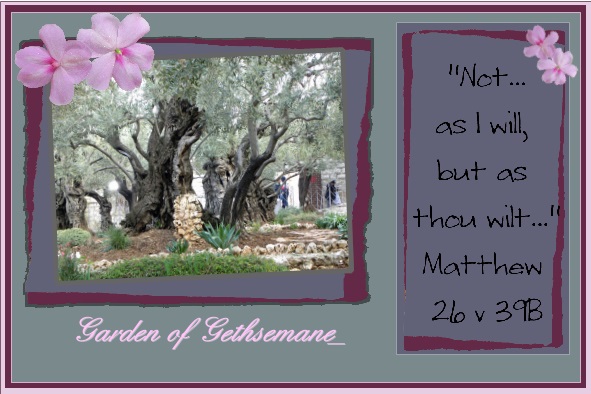 March_2016_-_Garden_of_Gethsemane