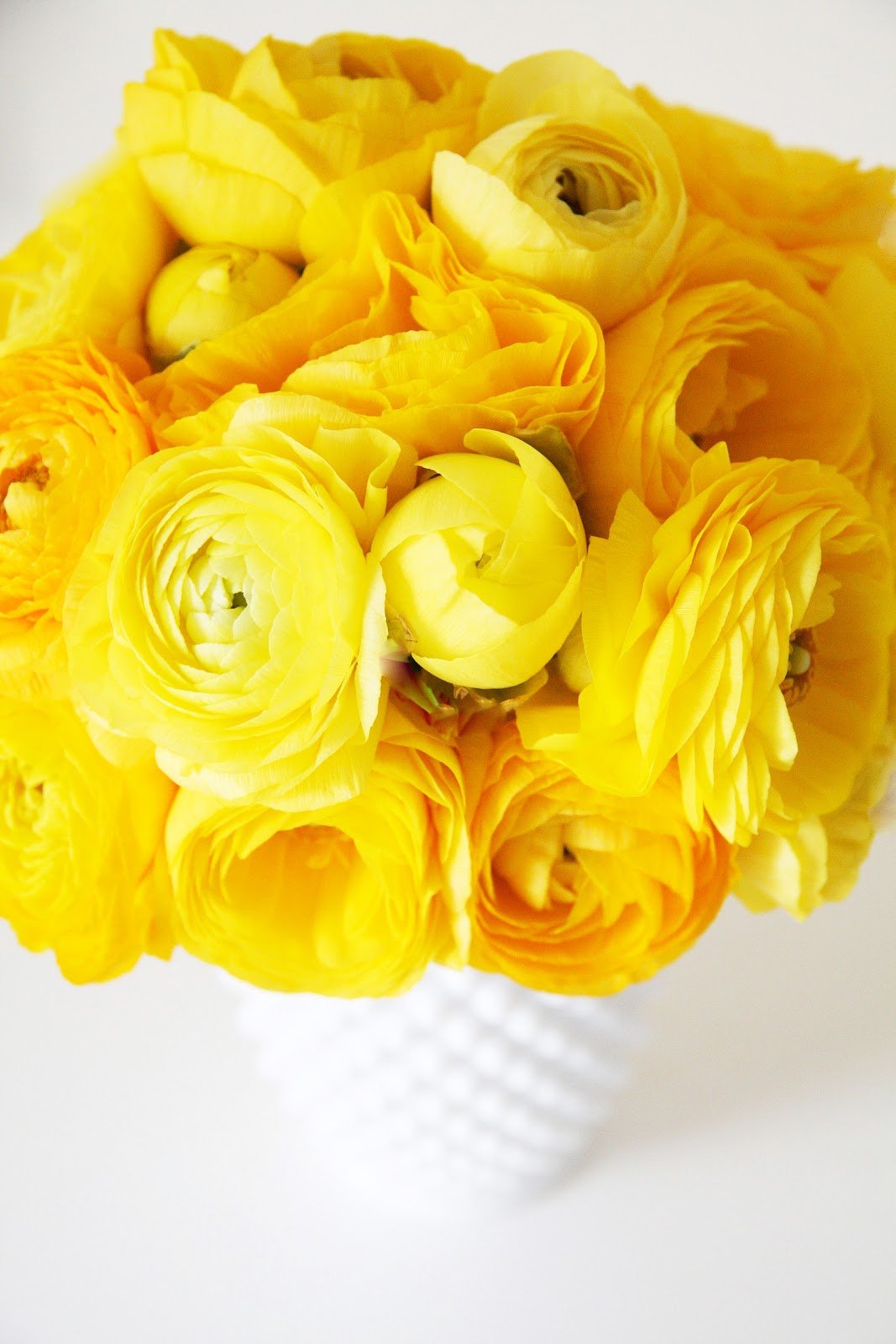 yellow buttercup flower yellow buttercup flower