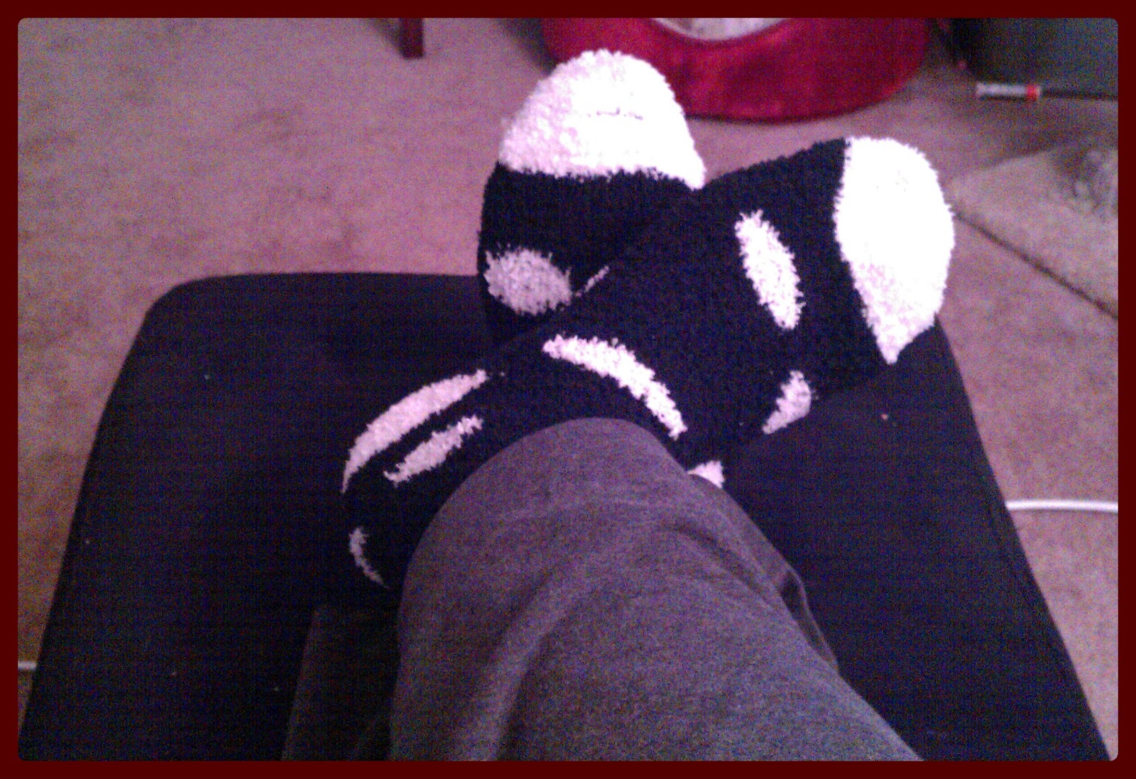 The Life & Times of Ica Fuzzy Sock Weather