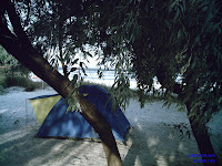 Mamaia Camping
