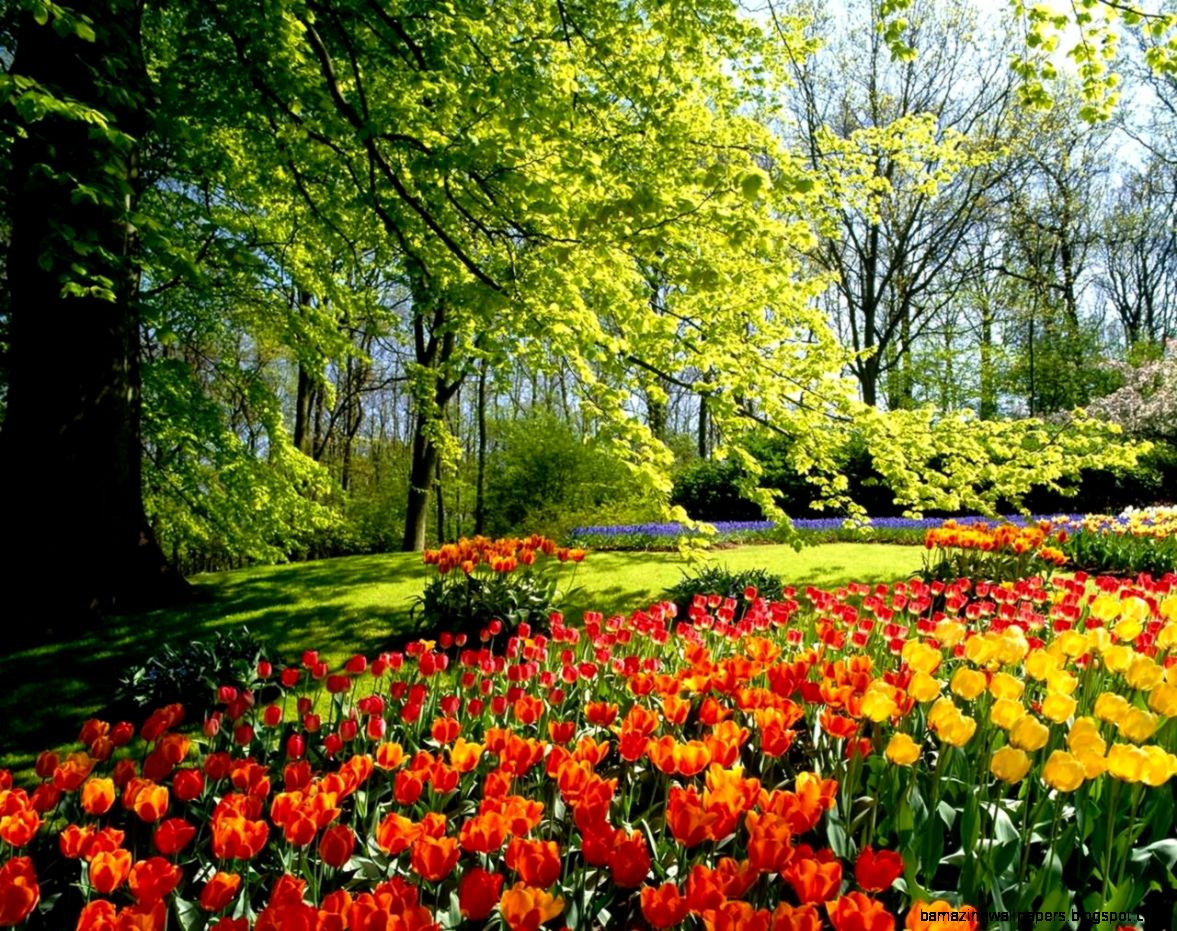 729517 1280x1024px Spring Season 40132 KB Nature Ron Walsey 729517 1280x1024px Spring Season 40132 KB Nature Ron Walsey
